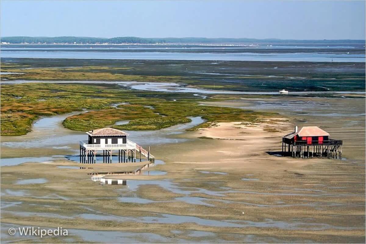 Beautiful Louisiana Villa Sleeps 6 With Pool Mios Eksteriør billede